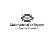 Multinacional de Seguros
